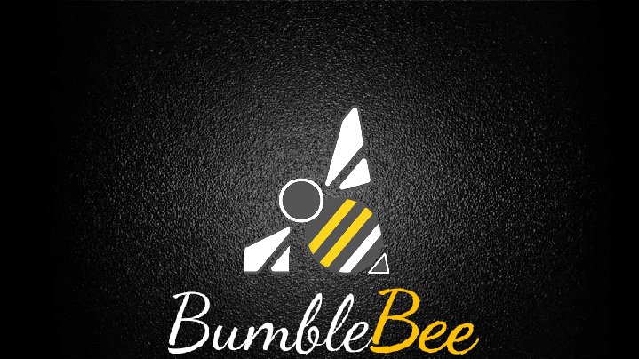 Bumble Bee Cleaning - Servicii profesionale de curatenie