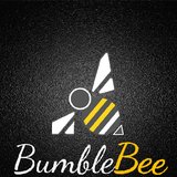 Bumble Bee Cleaning - Servicii profesionale de curatenie